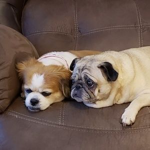 Meet your Posher, Tammy